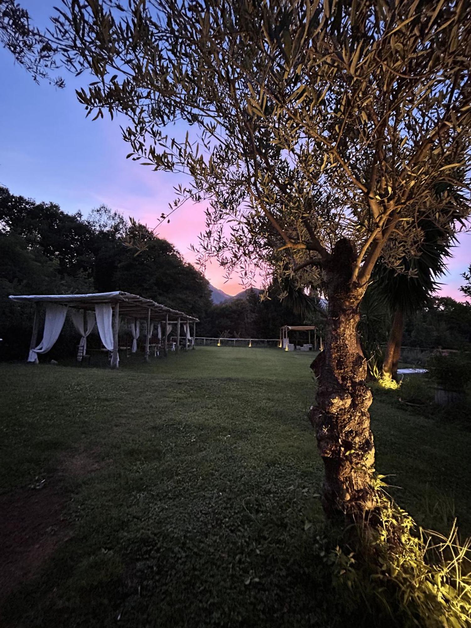 Agriturismo Colle Maiano Vietri Exterior foto
